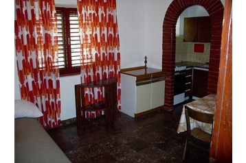 Horvātija Privát Sućuraj, Eksterjers